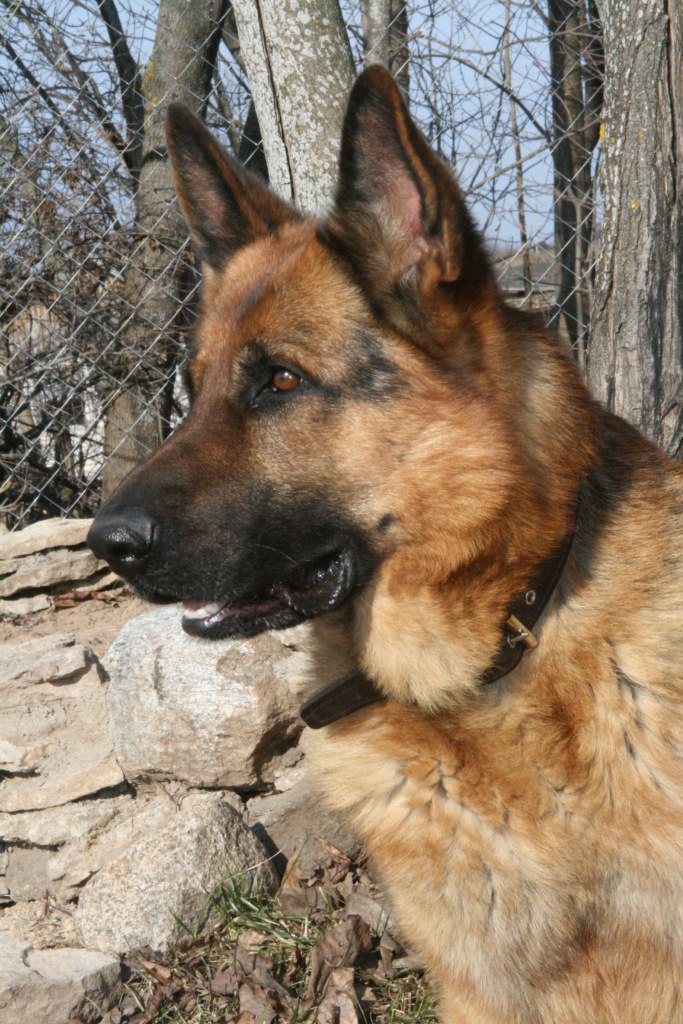 Ольга Игнатьева Леонидовна | Псков