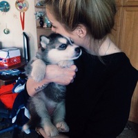 Артур Шашлычко