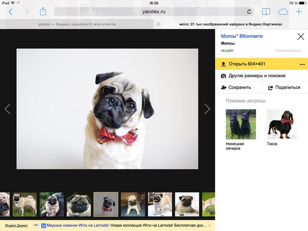 Софи Мараховец, Россия, Томск