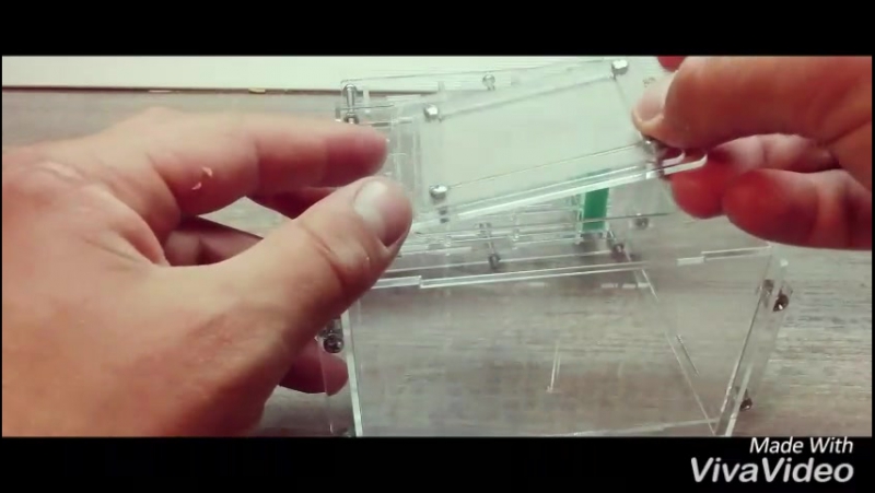 Crystal M формикарий