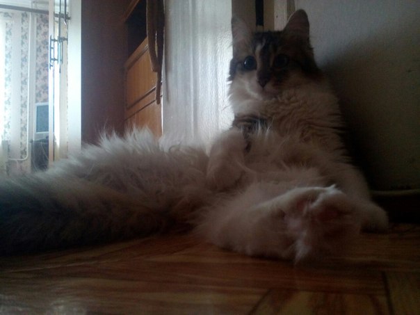 Дарья Дедкова, Россия, Магнитогорск