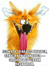 Володя Александрович