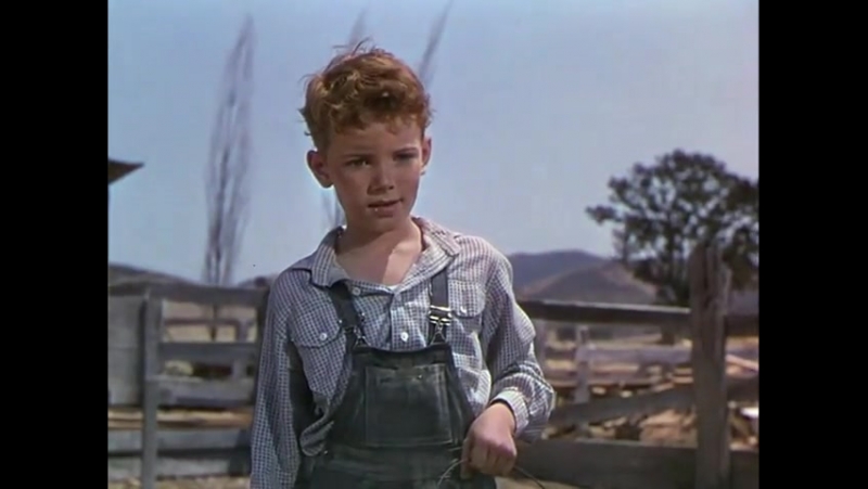 The Red Pony(1949)Рыжий