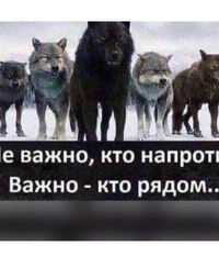 Владимир Александрович