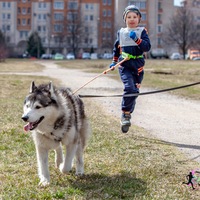 Дмитрий Астахов
