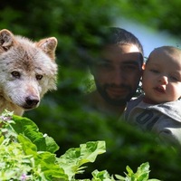 Артур Петросян