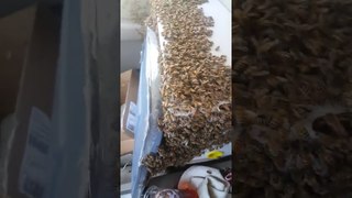 Хьюстон, у нас проблемы