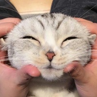 Иван Ключников | Киев