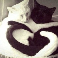 Тоня Полякова