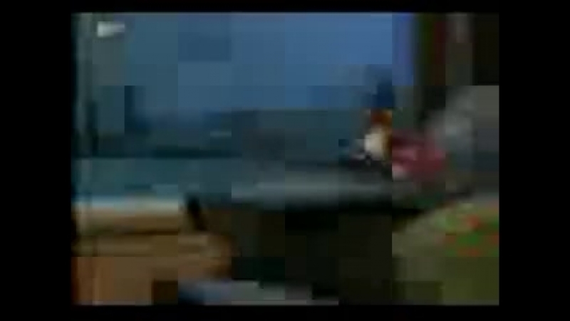 том и джери в переводи