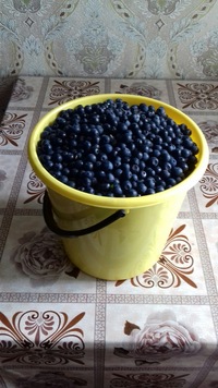 Галина Исакова