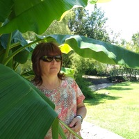 Светлана Николаева