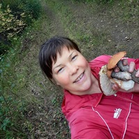 Елена Носова