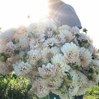 Юлия Маркова