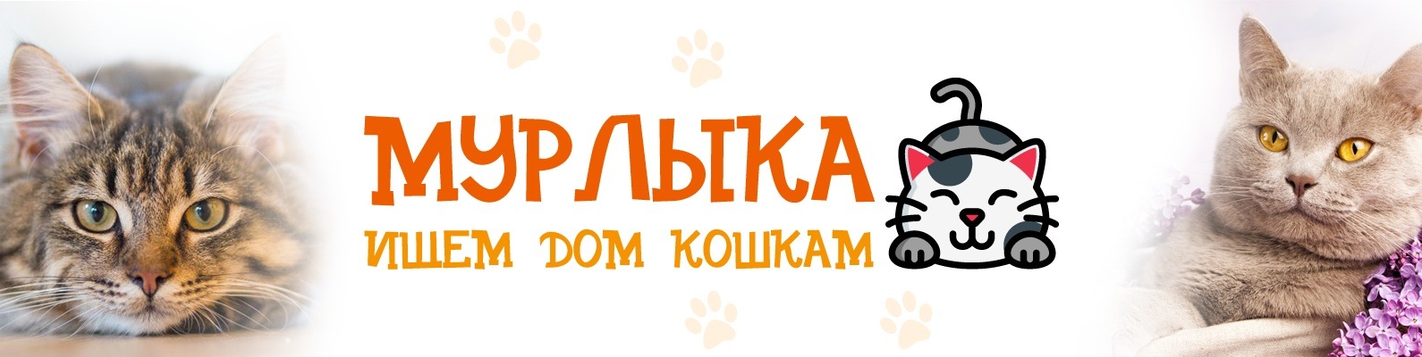 Интернет Магазин Для Кошек Екатеринбург