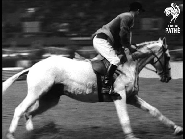 Horse Of The Year