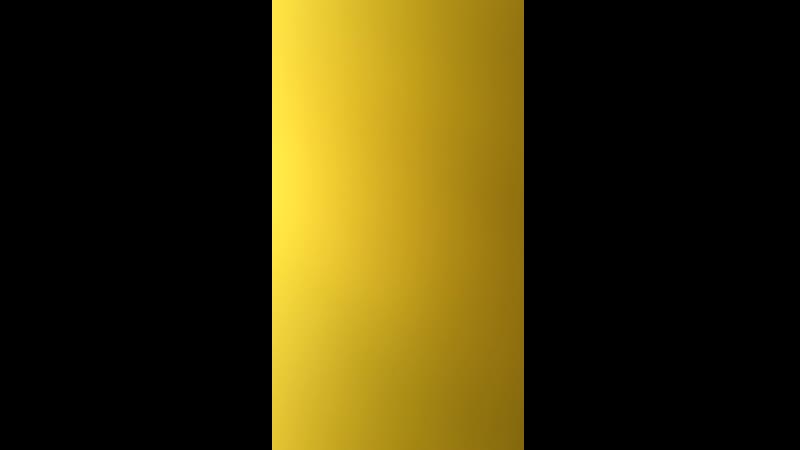 FEMINAZI POLIZEI WOMEN POLICE SORRY WO MAN