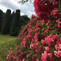 Иван Макаров