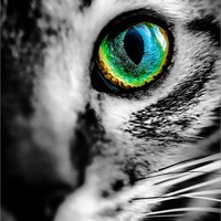 Яна Аверина | Усть-Кут