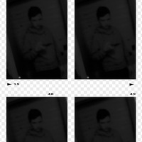 Николай Ширяев | Лесной