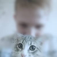 Евгений Волков