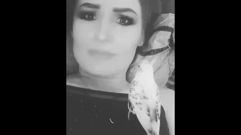 VID_84000717_033244_861.mp4