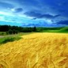 Аватар: Вова Жеребецький