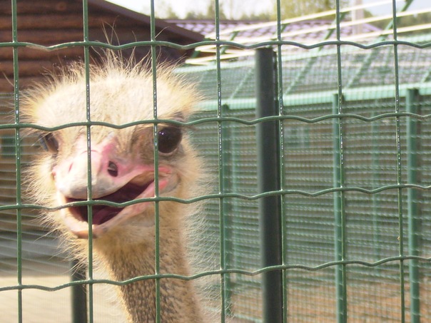 №3, Андрей Смирнов №3, Андрей Смирнов