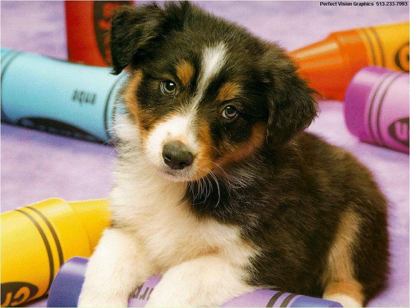 №2, Лена Соболева №2, Лена Соболева