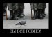Юрий Данилов фотография #22 (источник - https://vk.com/id32294759)