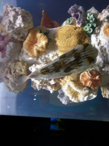 №3, Илья Черёмухин №3, Илья Черёмухин