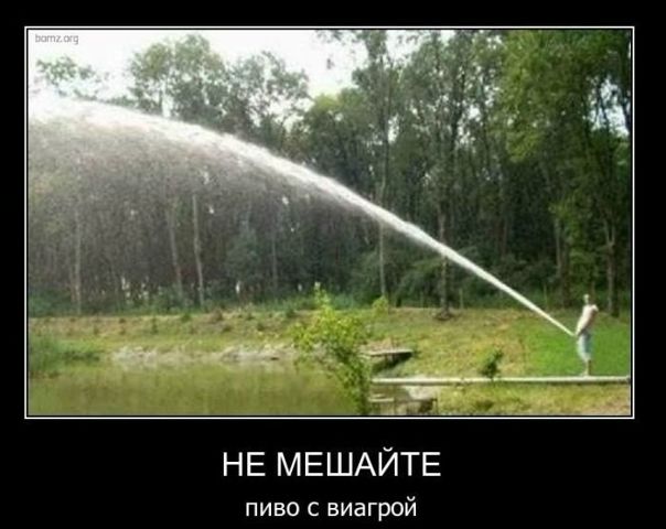 №137, Vlad Wonder, 84 года, Днепр (Днепропетровск) №137, Vlad Wonder, 84 года, Днепр (Днепропетровск)