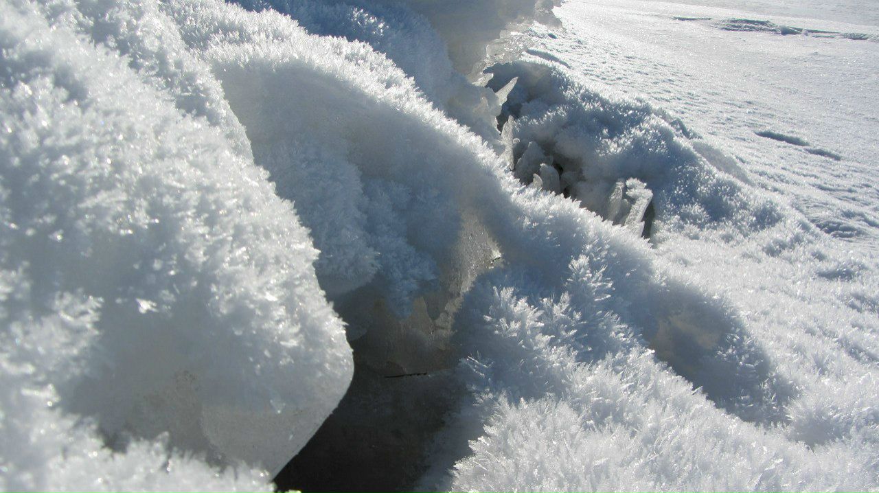 Любовь Алексеева Борисовна | Санкт-Петербург