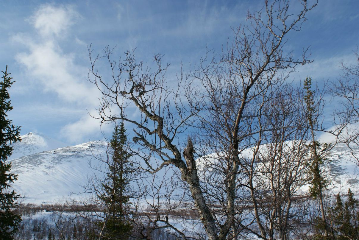 Юрий Волков | Санкт-Петербург