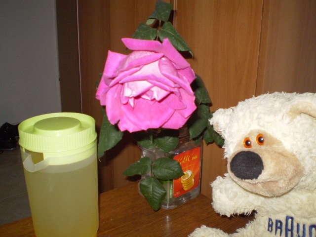 Елена Сачук | Киев