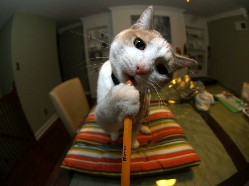 Саша Молотов | Москва