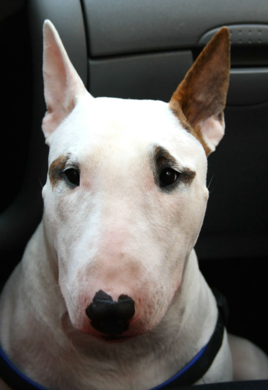 Артем Енот ...[c1rca]✖ | San Donato Milanese