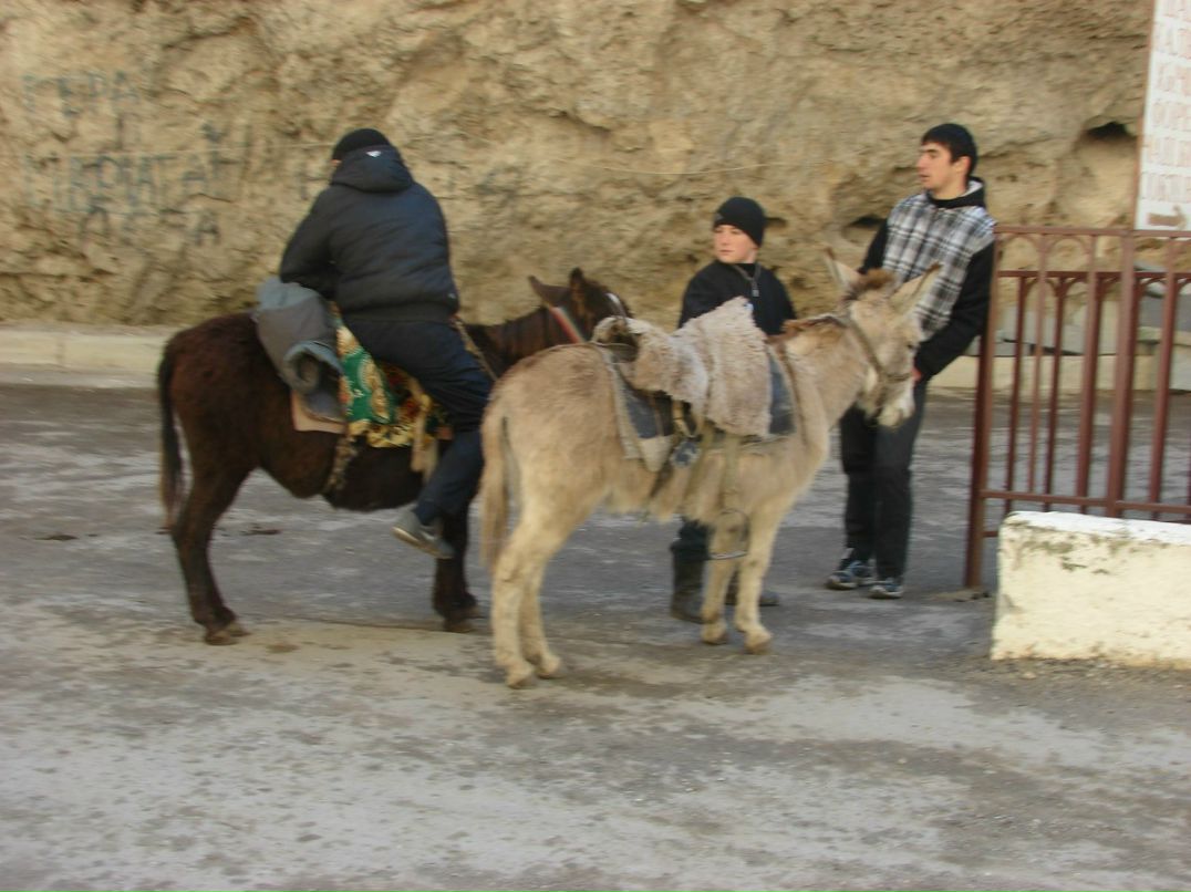 Ольга Фрей | Москва