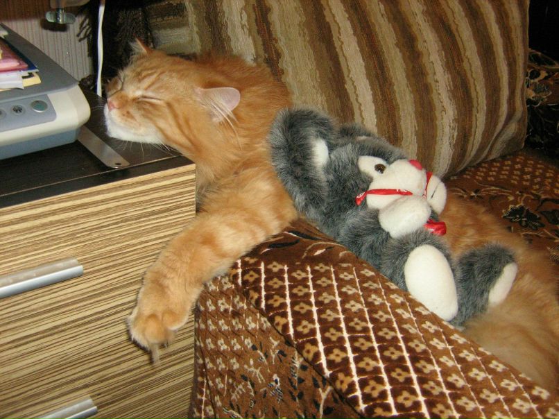 Анна Крутевич | Винница