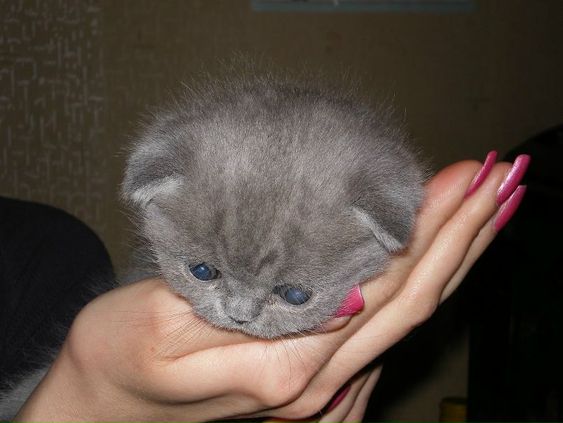 №11, Яна Смирнова №11, Яна Смирнова