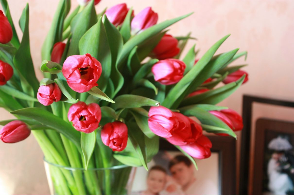 Ольга Штин | Москва