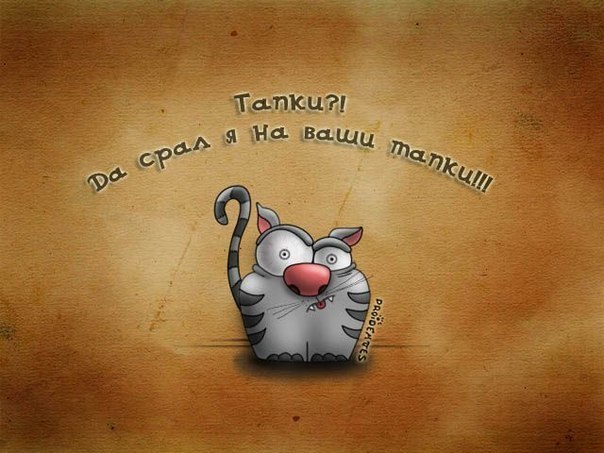 Дима Зимовец | 