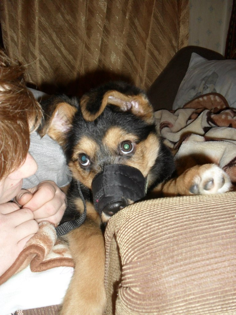 Виталия Кононова | Видное