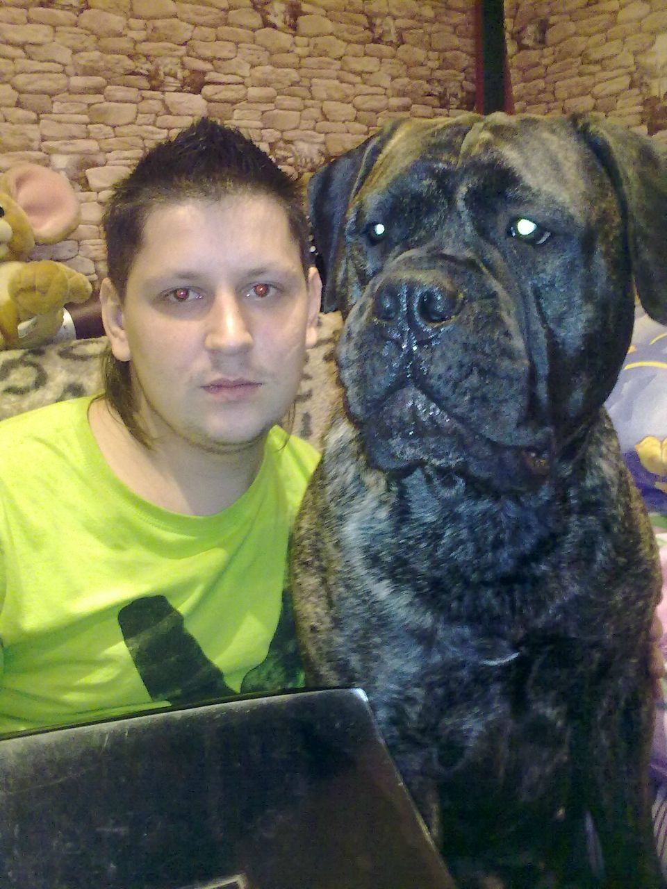 Dolphin Олежик | Москва