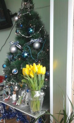 Елена Галяпина | Сочи