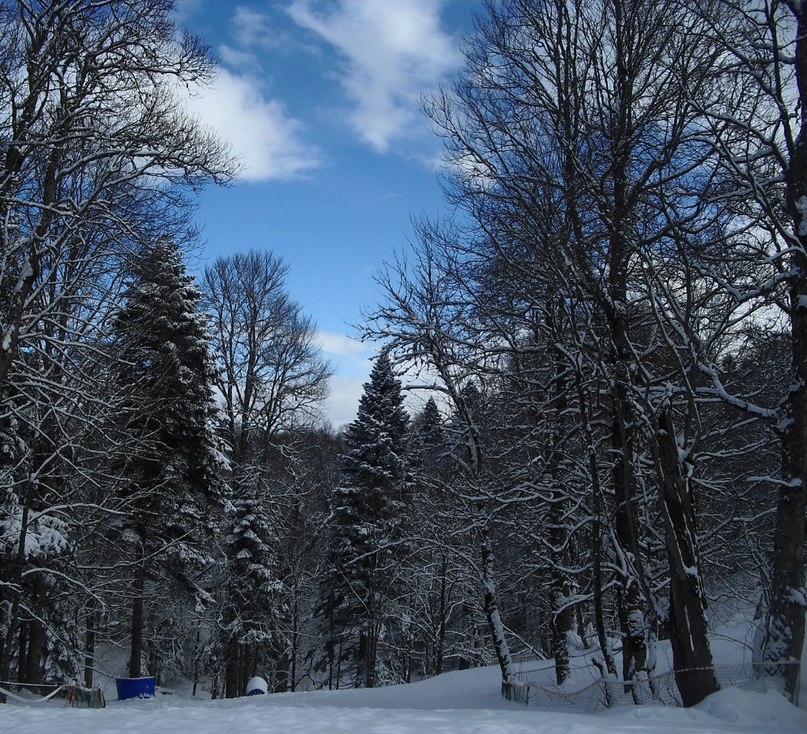 Ирина Фирсова | Краснодар