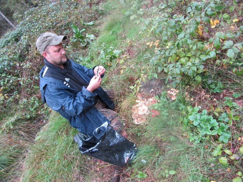 Алексей Греков | Мясница