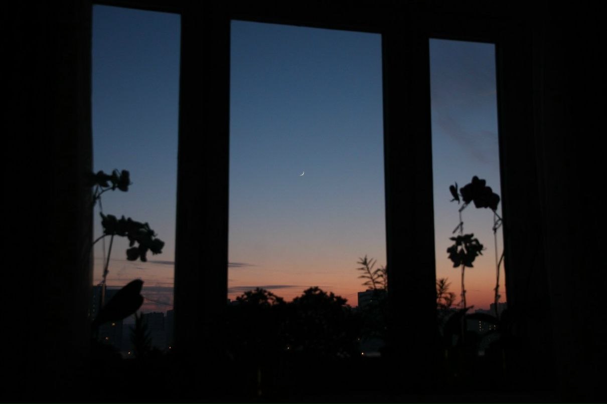 Дмитрий Квитка Николаевич | Москва