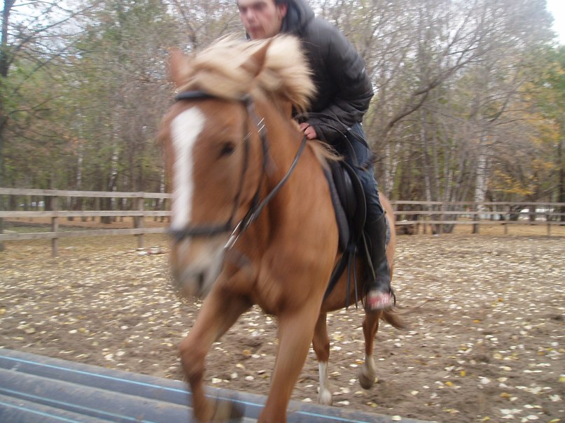 Александр Журавлёв | Самара