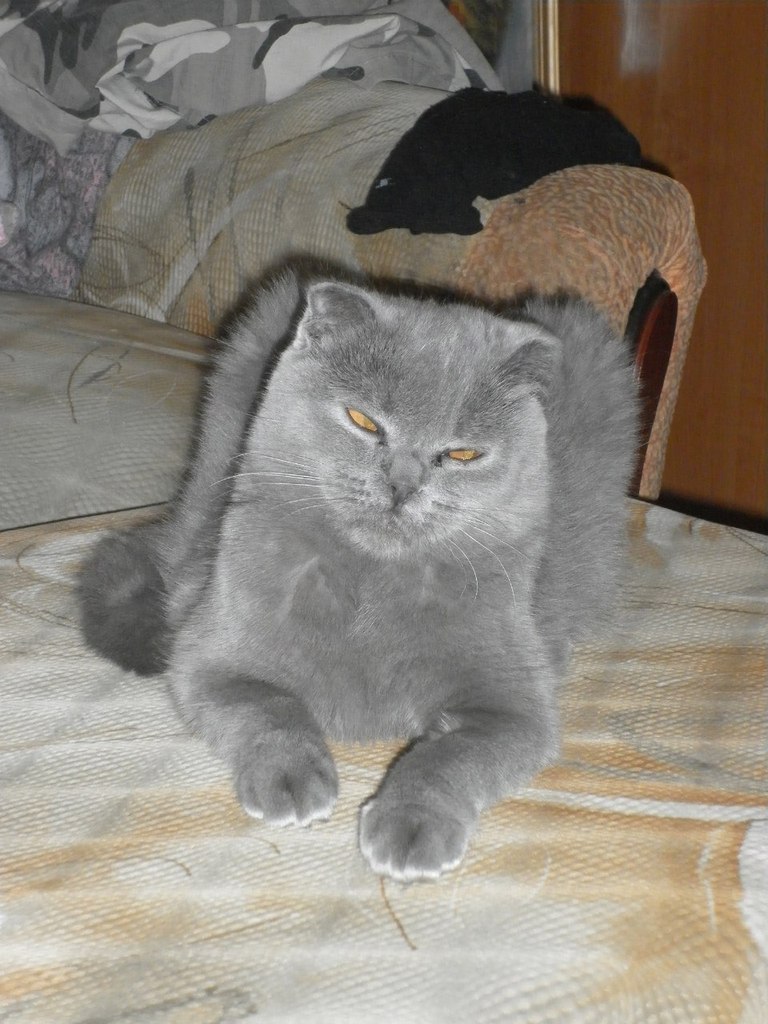 Евгения Латышева | Омск